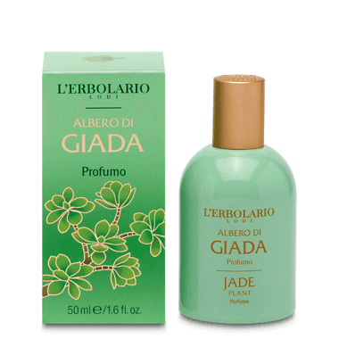 Albero di giada profumo