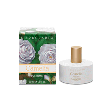 Camelia profumo