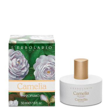 Camelia profumo