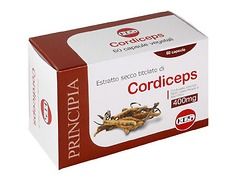 Cordiceps capsule