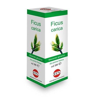 Ficus carica gocce