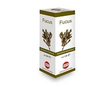 Fucus gocce