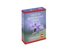 Borragine