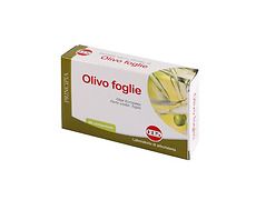 Olivo compresse