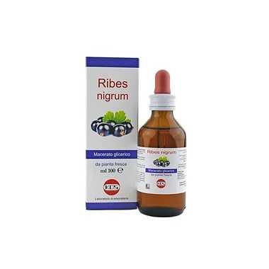 Ribes nero antistaminico