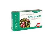 Uva ursina compresse