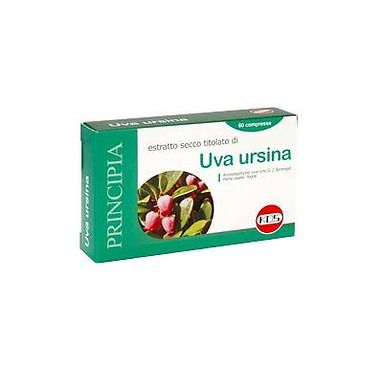 Uva ursina compresse