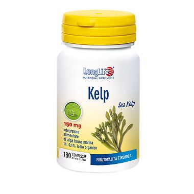 Kelp alga