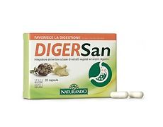 Digersan