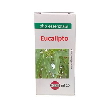 Eucalipto Olio Essenziale