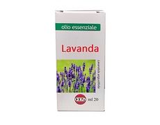 Lavanda Olio Essenziale