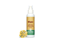 Elipso