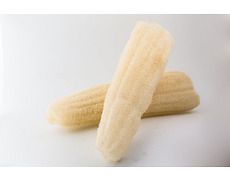 Luffa tronchetto