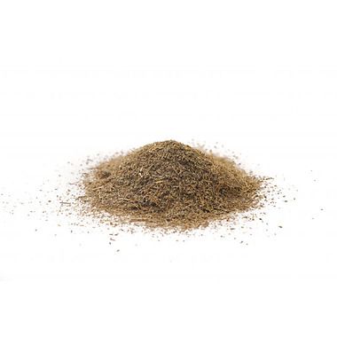 Fillanto erba