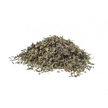 Tisana menta foglie