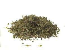 Tisana Verbena odorosa